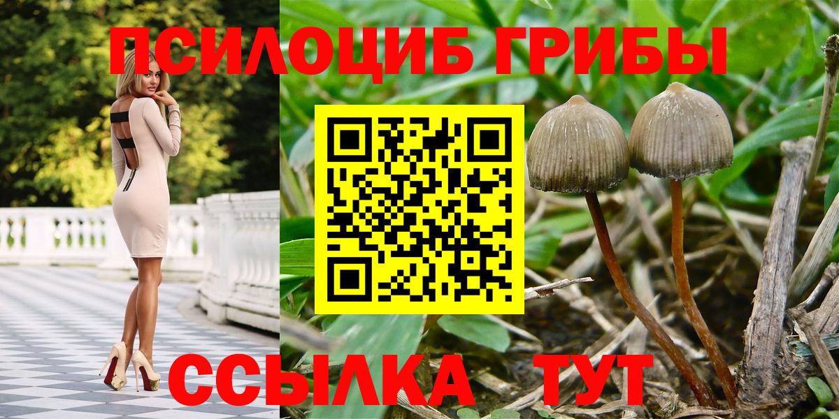 Псилоцибиновые грибы мухоморы Семёнов